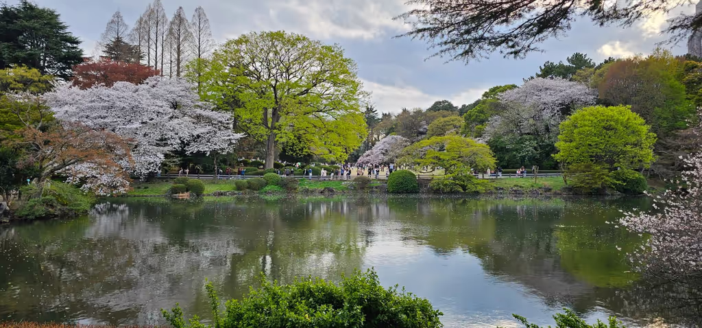 Kanagawa Private Tour - 