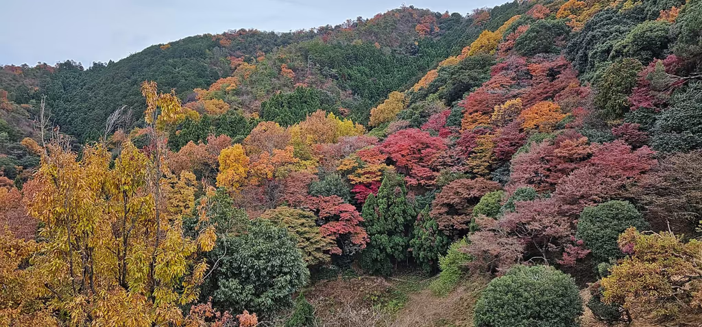 Kanagawa Private Tour - 