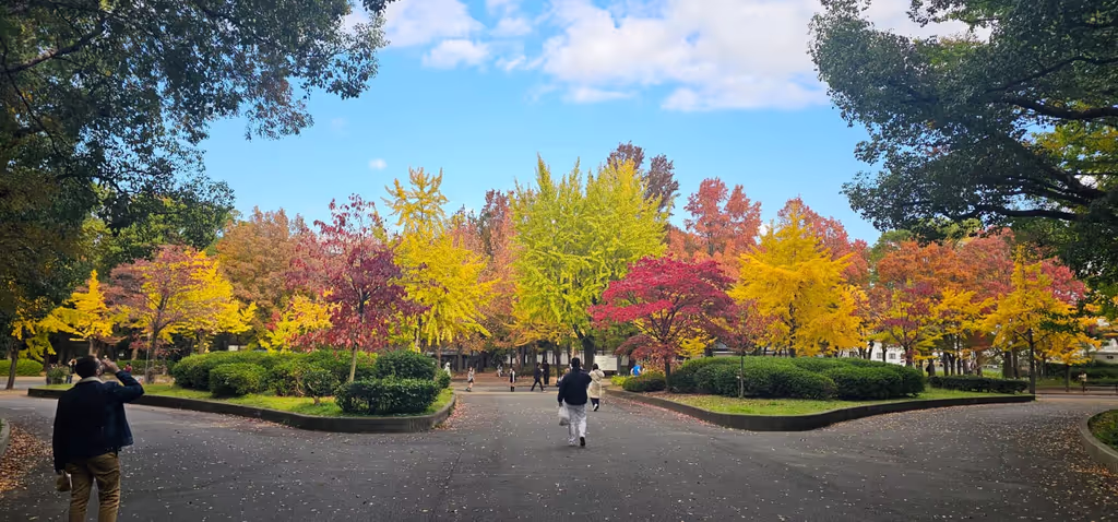 Kanagawa Private Tour - 