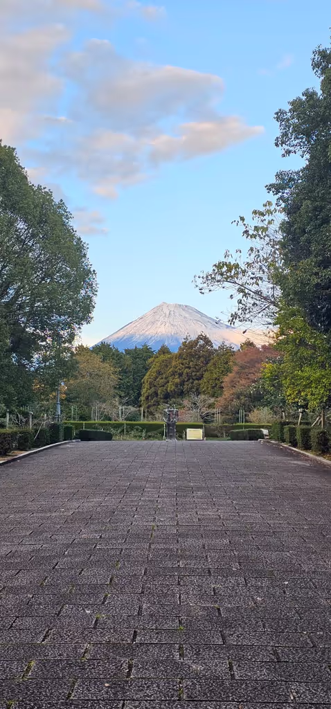 Kanagawa Private Tour - 