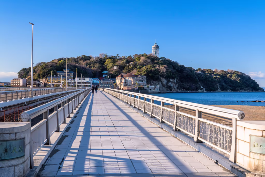 Kanagawa Private Tour - 