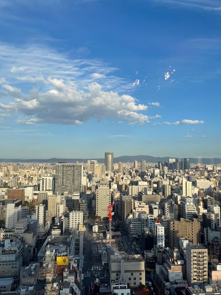Kanagawa Private Tour - 