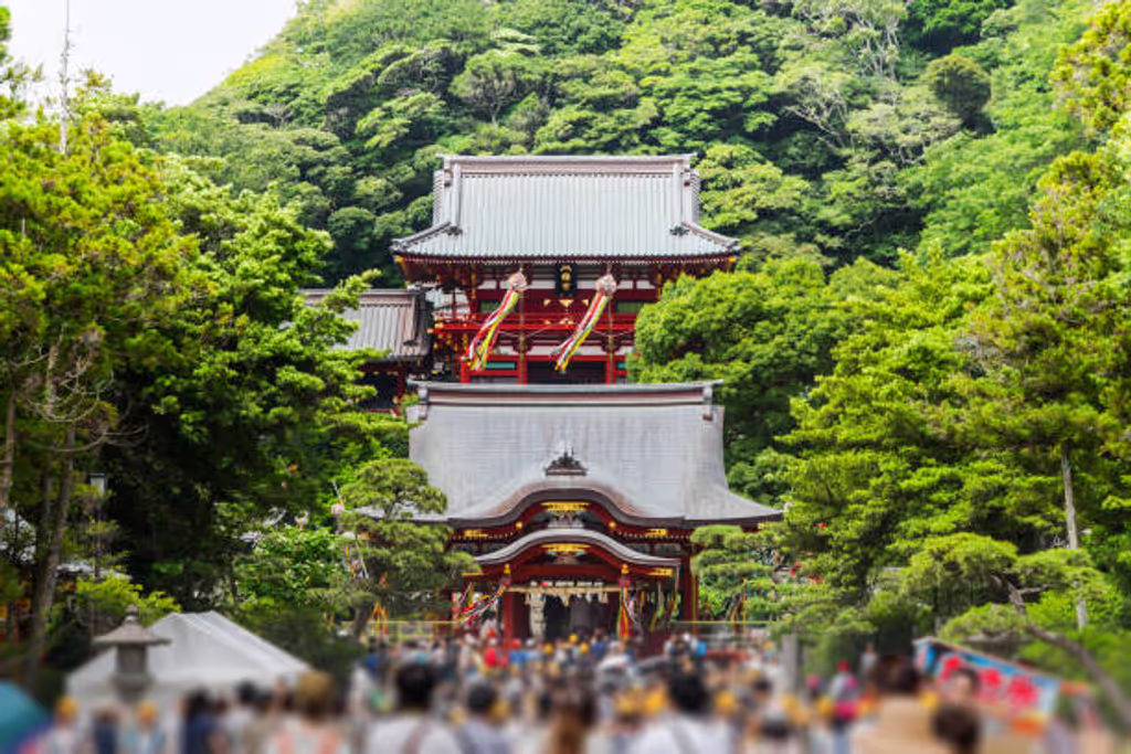 Kanagawa Private Tour - 