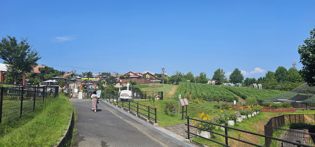 Kanagawa Private Tour - 