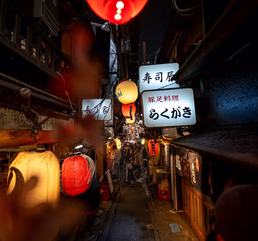 Kanagawa Private Tour - 