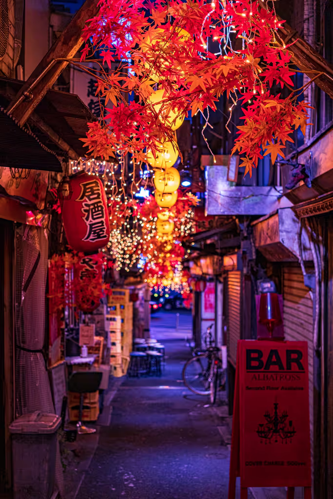 Kanagawa Private Tour - 