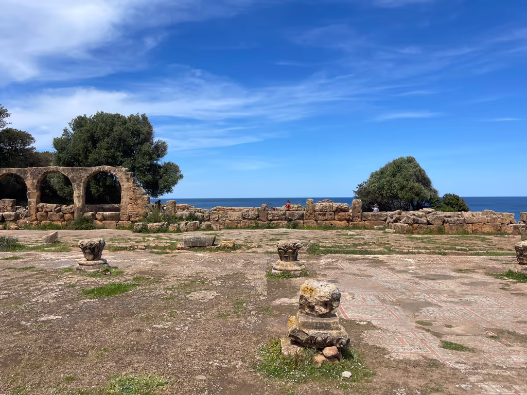 Algiers Private Tour - Tipasa ruins