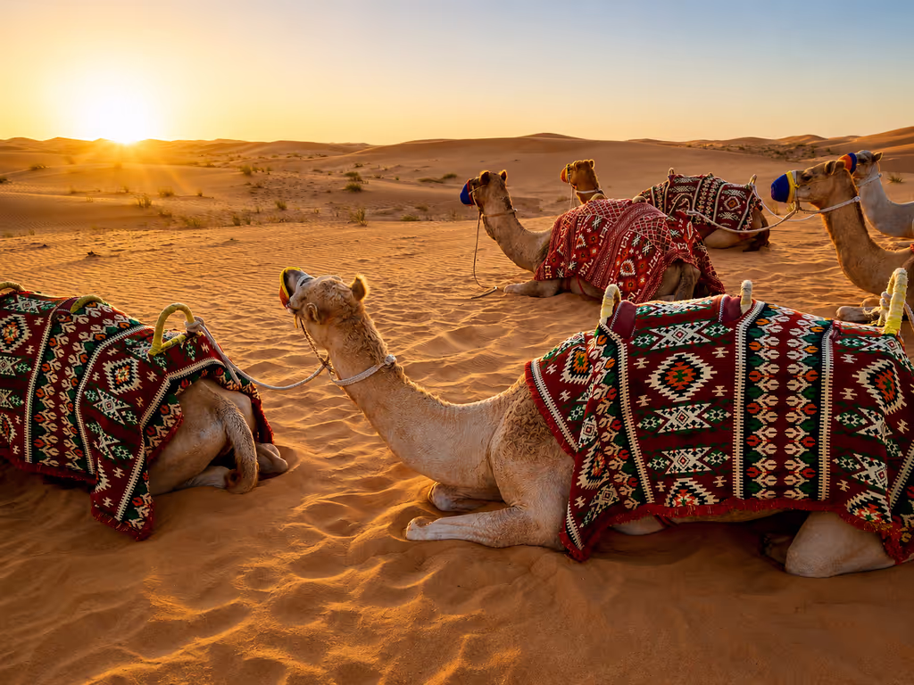 Doha Private Tour - Relax at a traditional desert camp surrounded by Arabian seating and golden dunes.