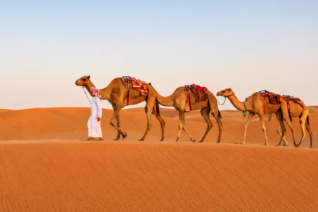 Doha Private Tour - Enjoy a traditional camel ride across the peaceful sand dunes of the Qatar desert.