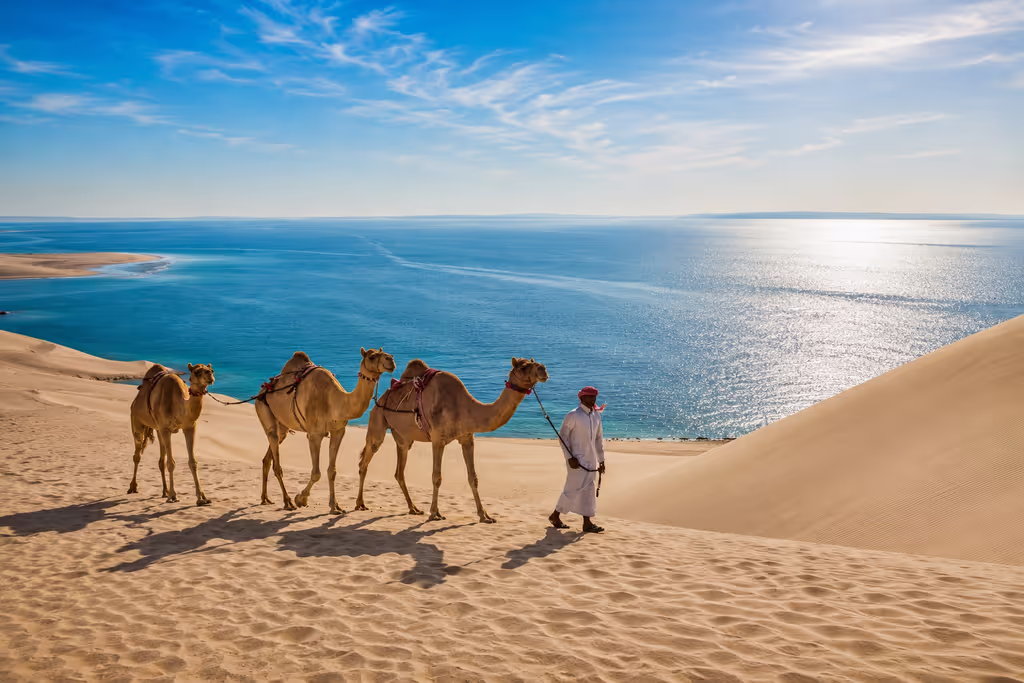 Doha Private Tour - Capture unforgettable inland sea views over the golden dunes during a Qatar desert safari.