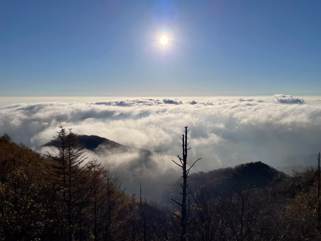 Tochigi Private Tour - 