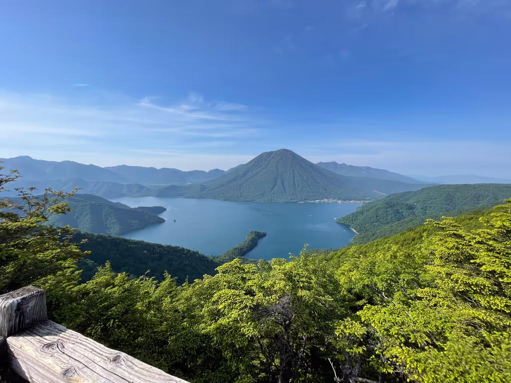 Tochigi Private Tour - 