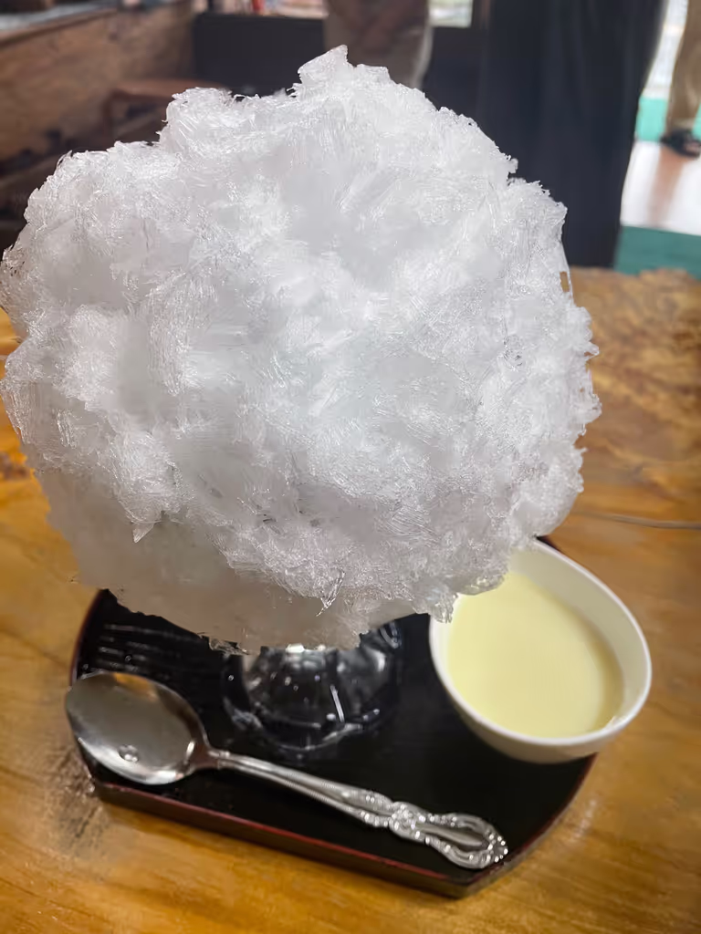 Tochigi Private Tour - 