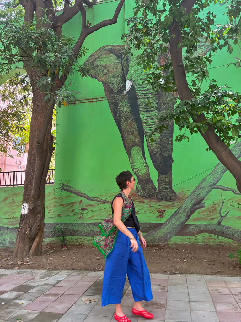 Delhi Private Tour - street art at lodhi distrcit
