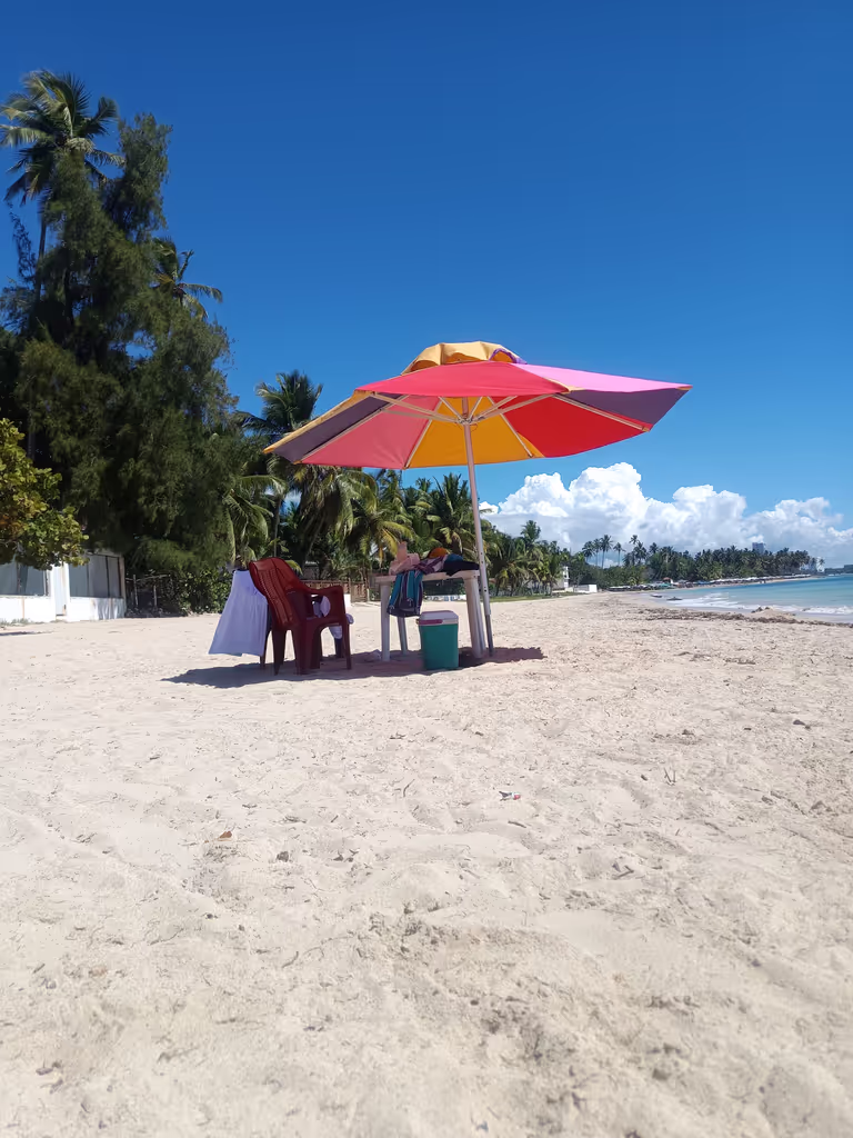 Distrito Nacional Private Tour - 
