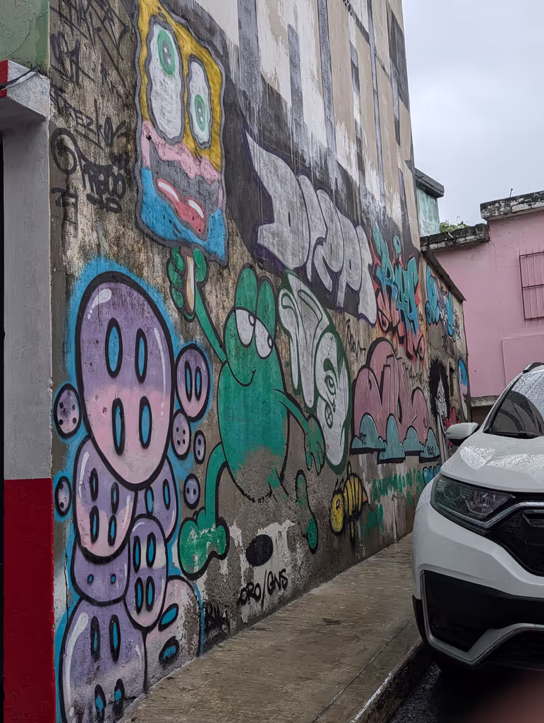 Distrito Nacional Private Tour - 