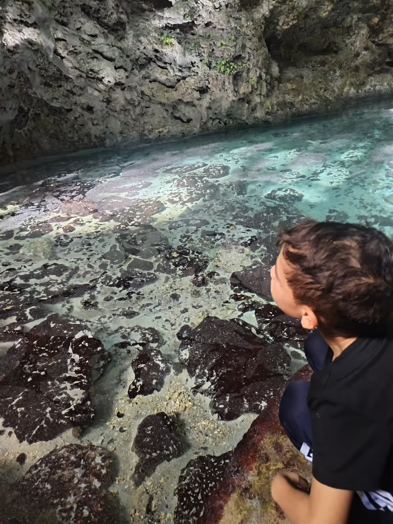 Distrito Nacional Private Tour - 