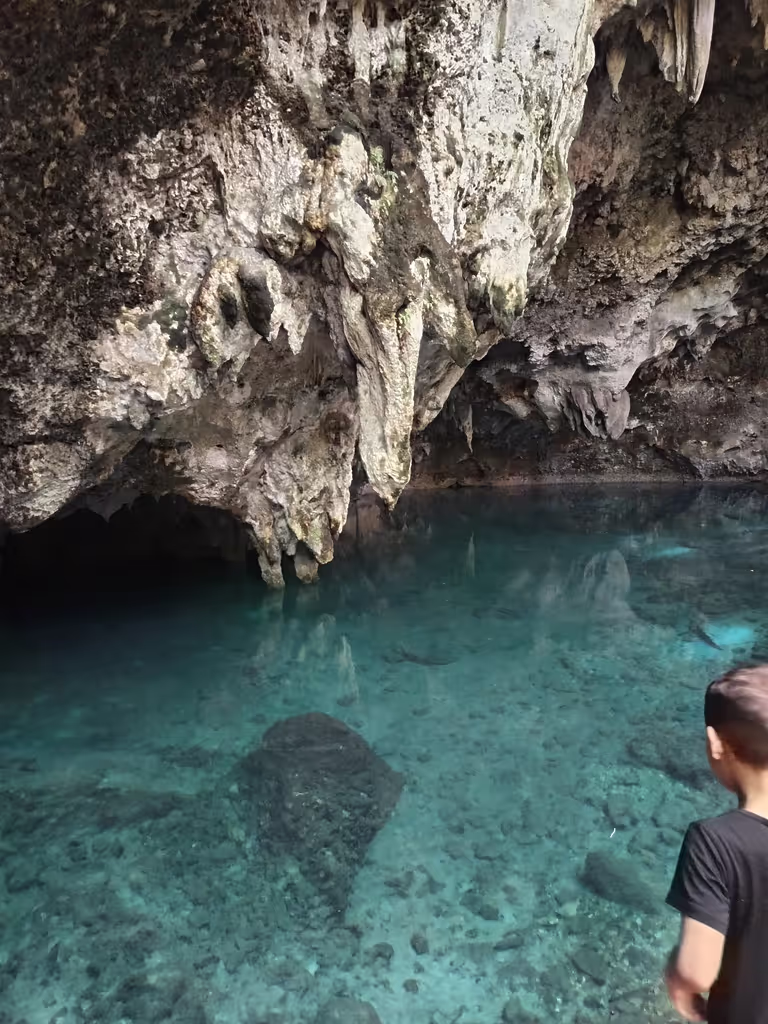Distrito Nacional Private Tour - 