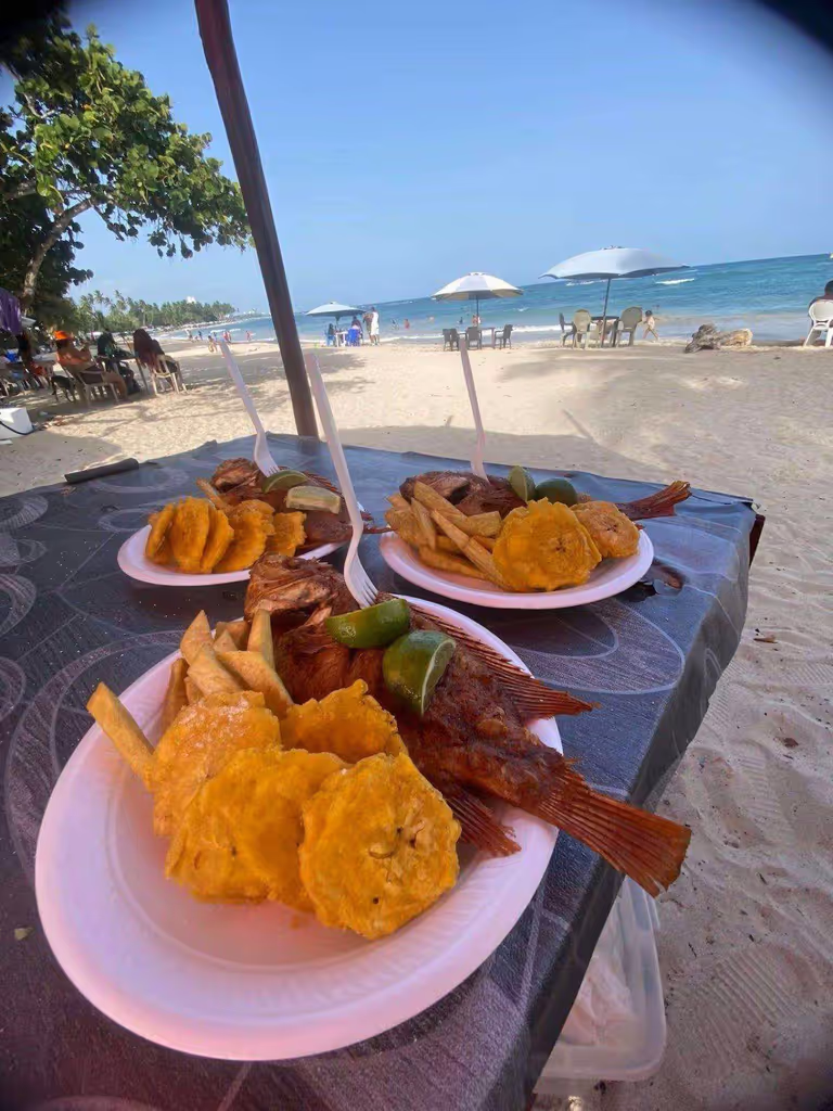 Distrito Nacional Private Tour - 