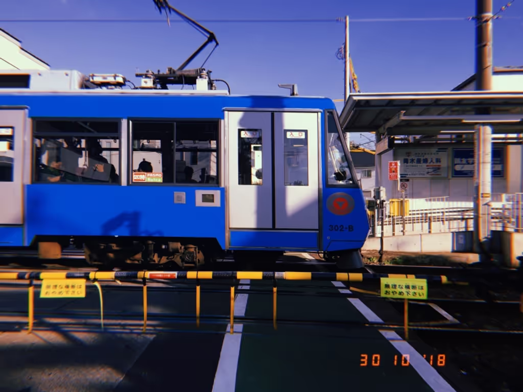 Tokyo Private Tour - Setagaya line tour