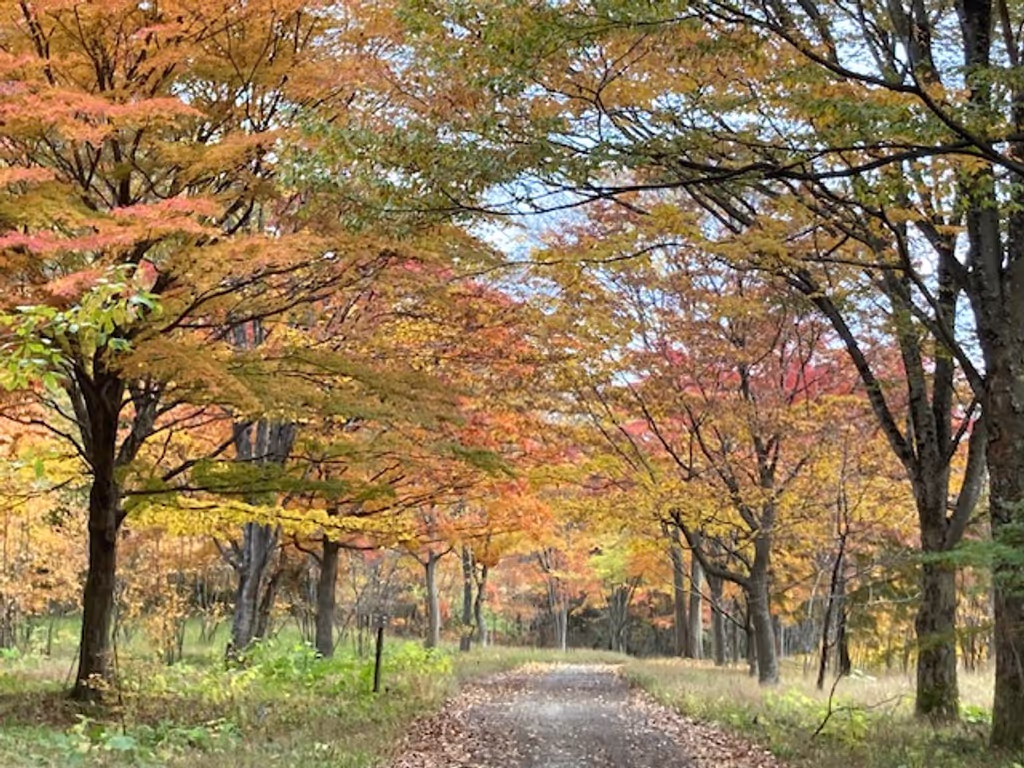 Iwate Private Tour - 
