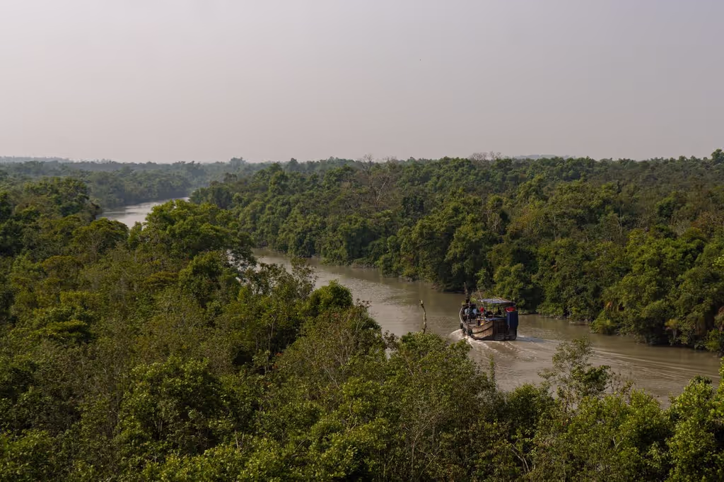 Dhaka Private Tour - Sundarban, World Largest Mangrove