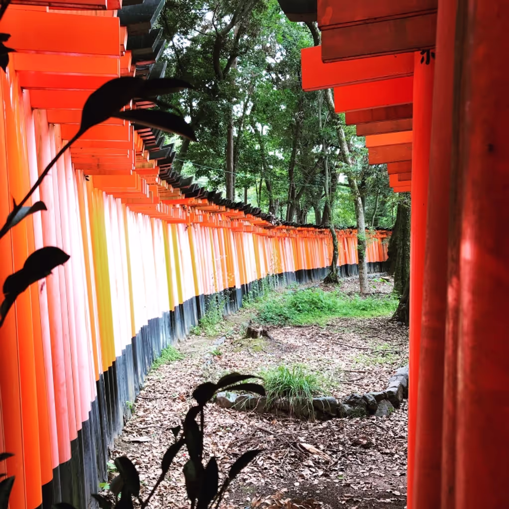 Osaka Private Tour - Between here and there