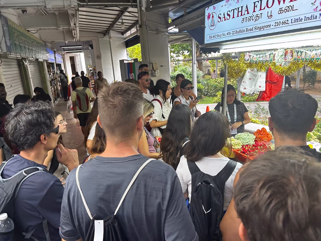 Singapore Private Tour - Explore the ethnic quarters of Singapore
