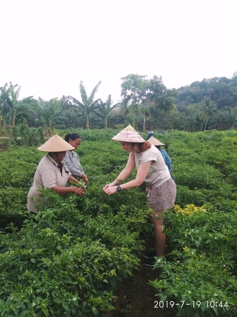 Yogyakarta Private Tour - 