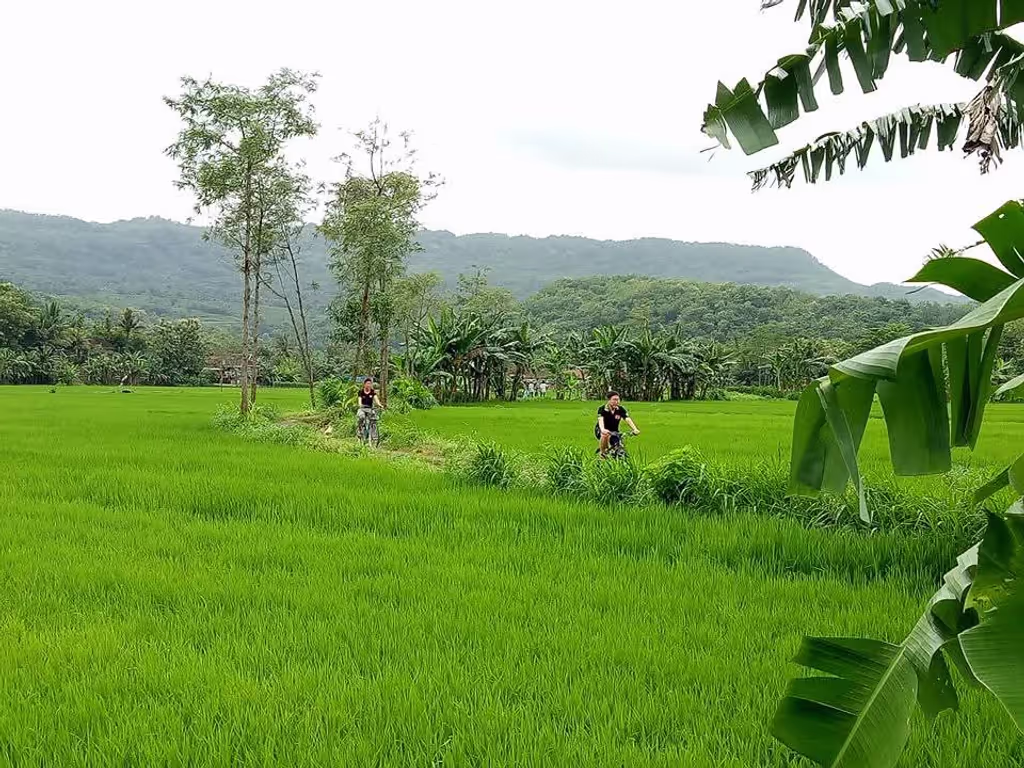 Yogyakarta Private Tour - 