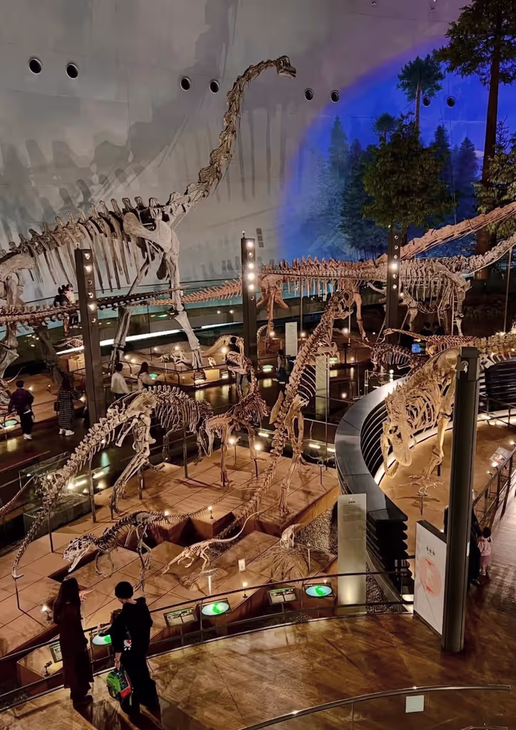 Fukui Private Tour - Dino saur musium 