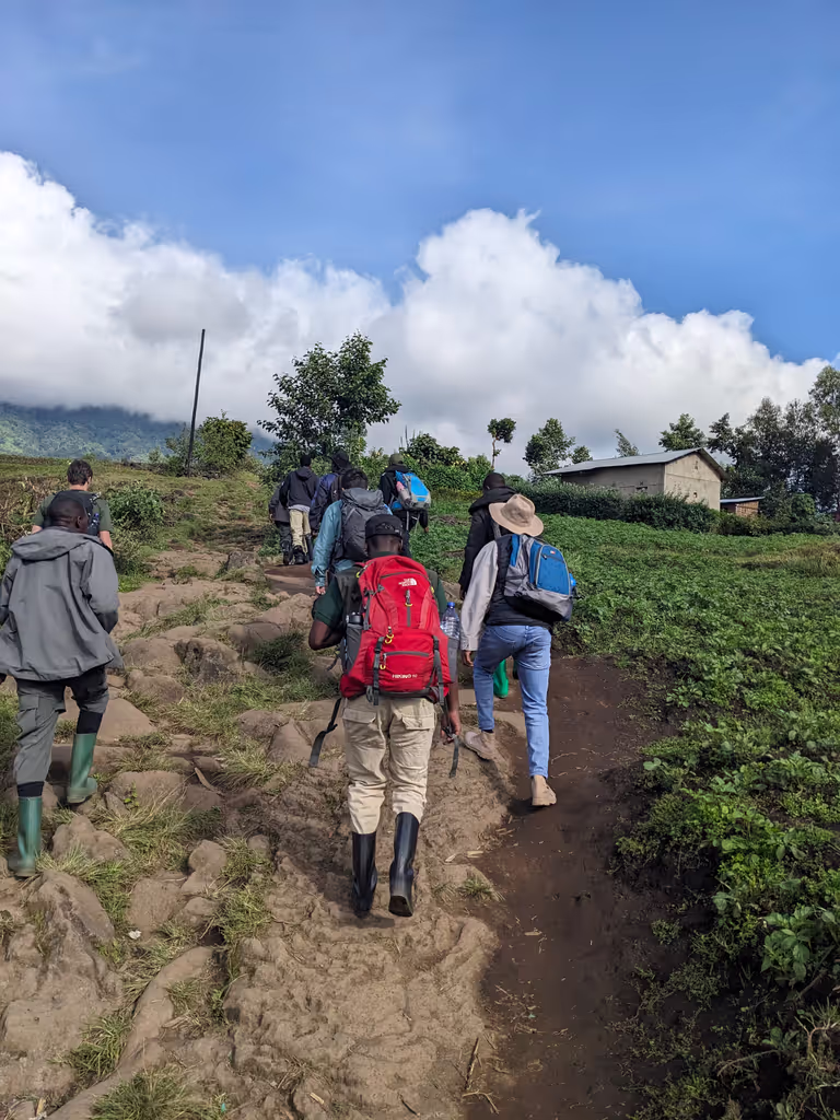 Ruhengeri Private Tour - Leading guests on the hiking trail through Volcanoes National Park