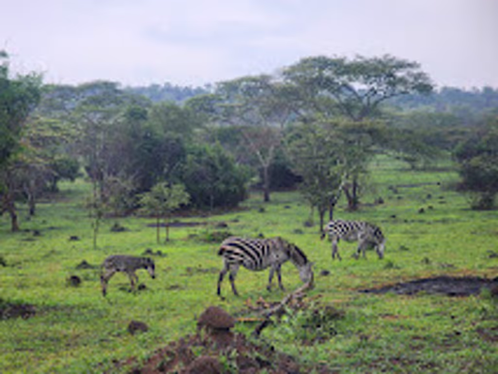 Kampala Private Tour - 