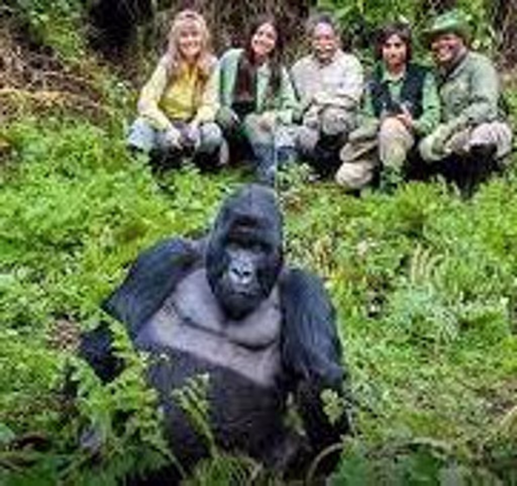 Kampala Private Tour - 