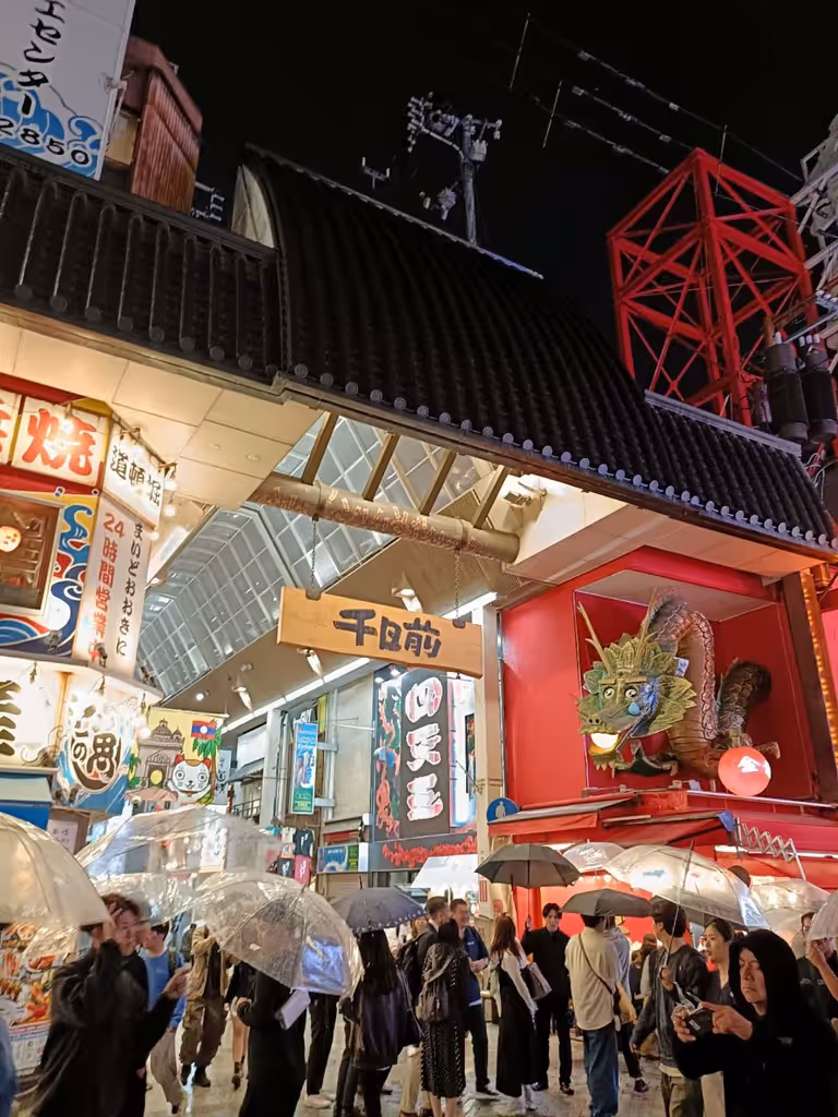 Osaka Private Tour - 