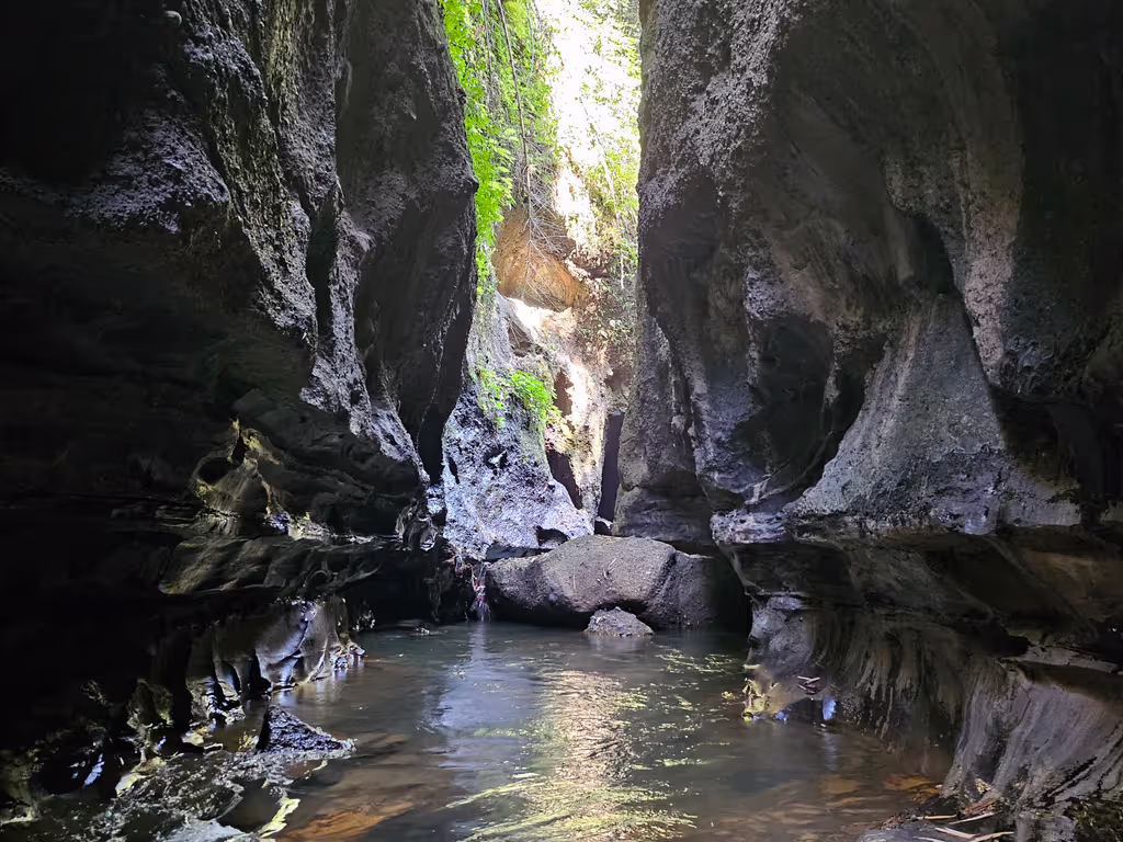 London Private Tour - Water Caves