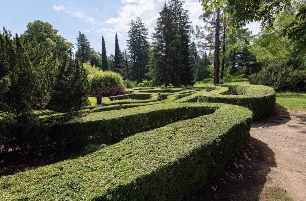 Tbilisi Private Tour - 
