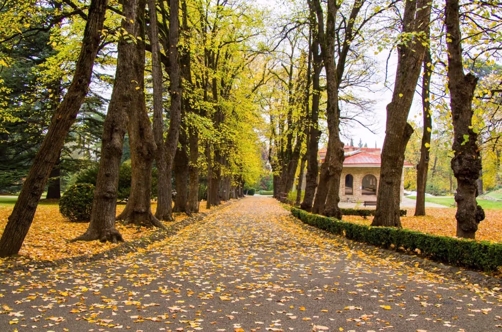 Tbilisi Private Tour - 