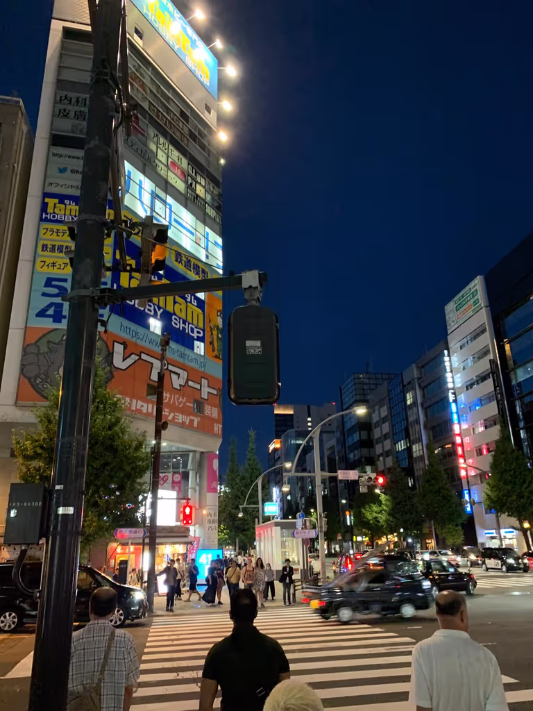 Tokyo Private Tour - 