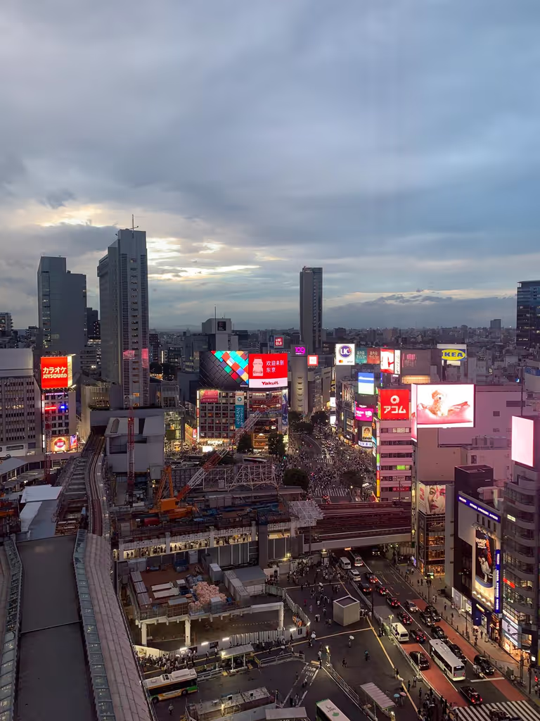 Tokyo Private Tour - 