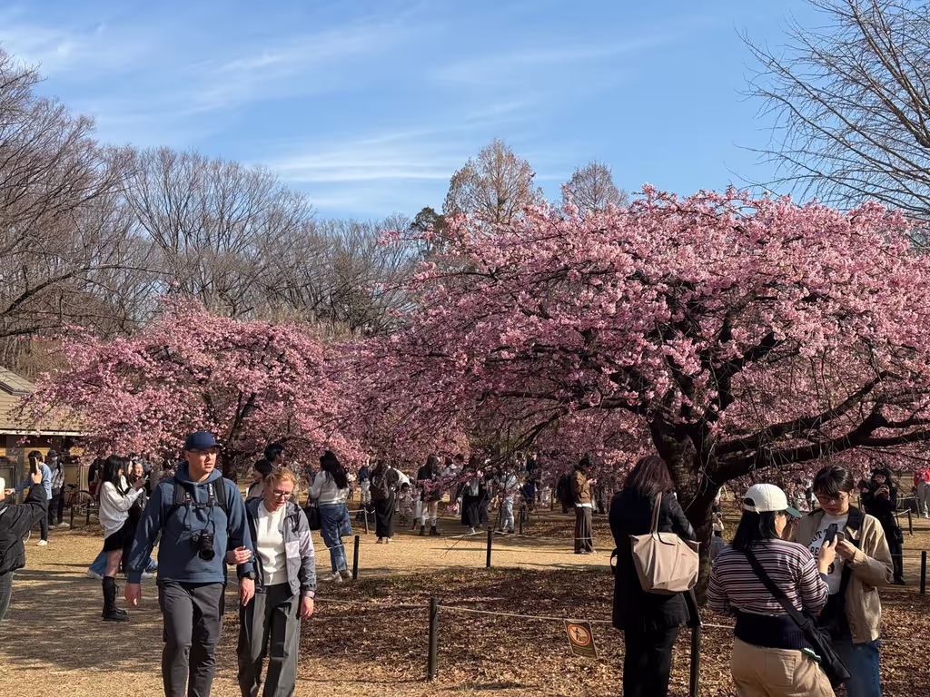 Tokyo Private Tour - 