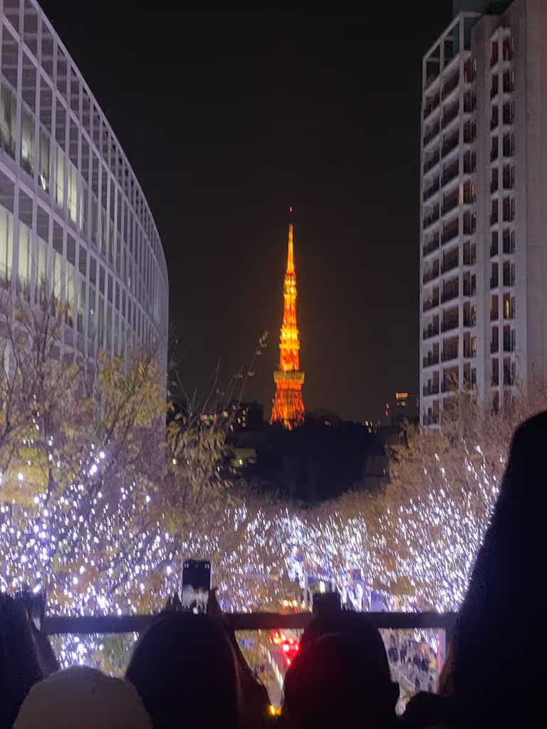 Tokyo Private Tour - 