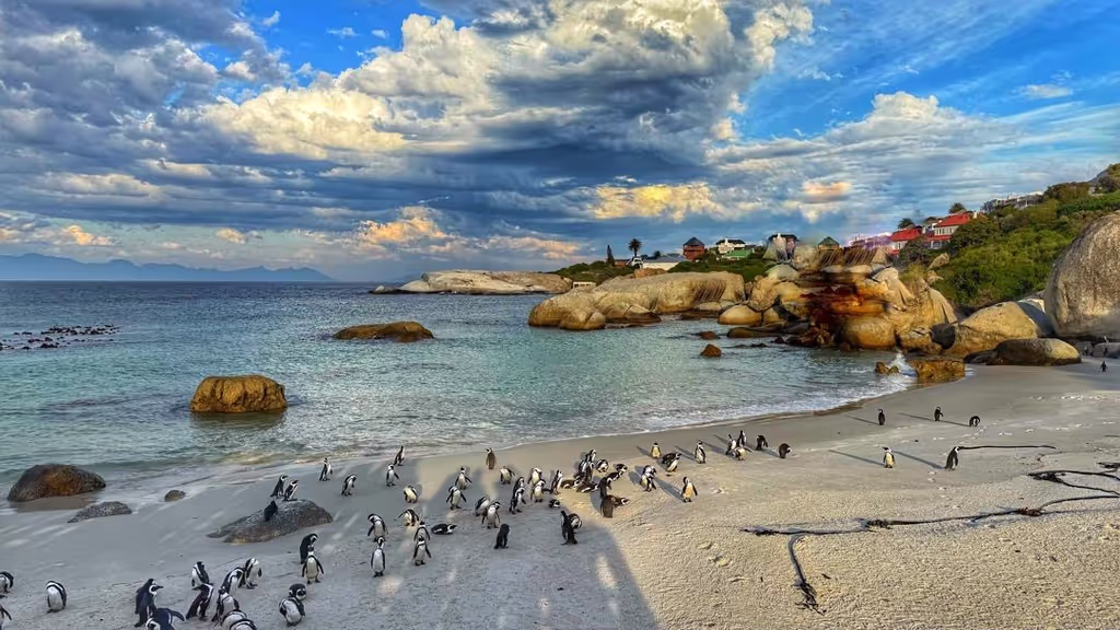 Cape Town Private Tour - 