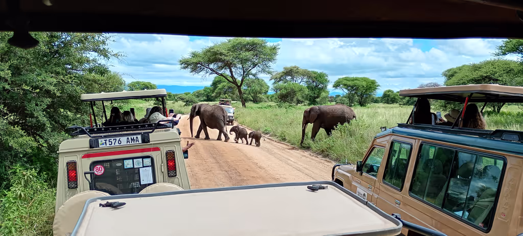 Kilimanjaro Private Tour - Twins are rare,such beautiful moment in life time