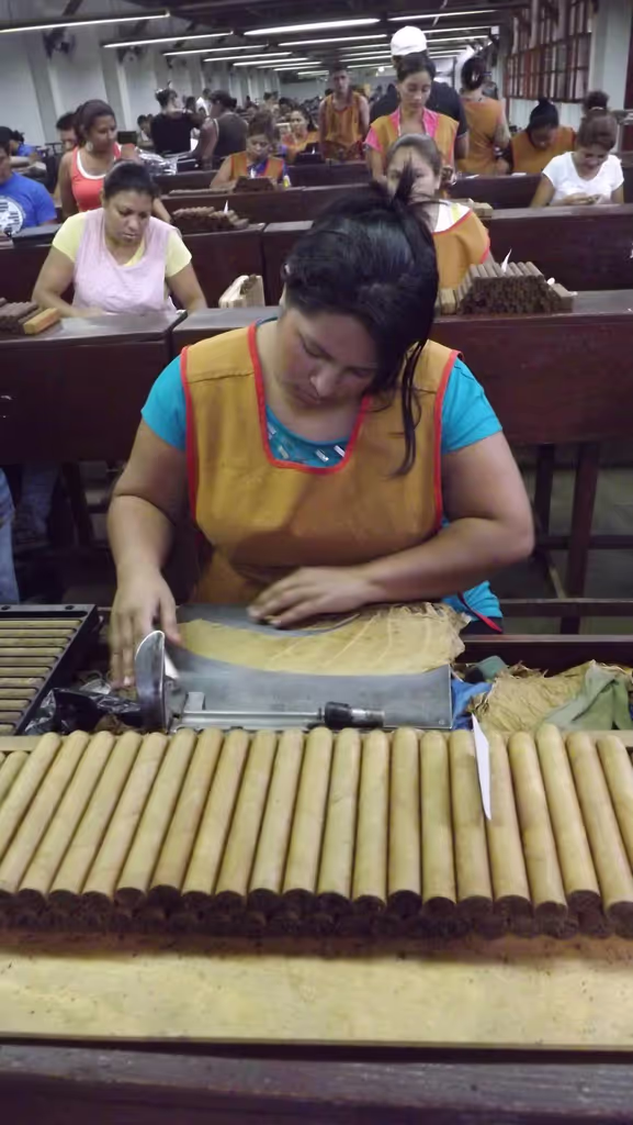 Managua Private Tour - Cigar Maker at Factory Esteli