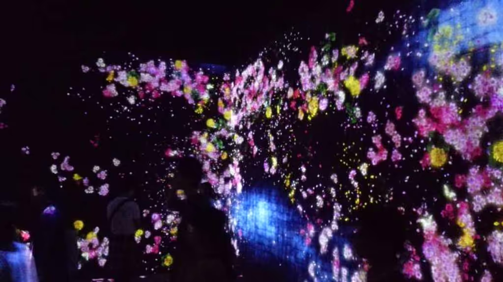 Tokyo Private Tour - Mori building digital art museum Epson team lab ☆Borderless 