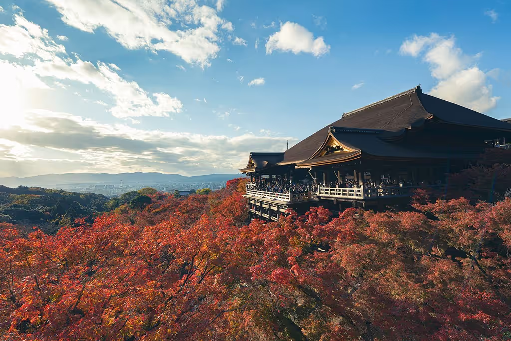 Osaka Private Tour - 