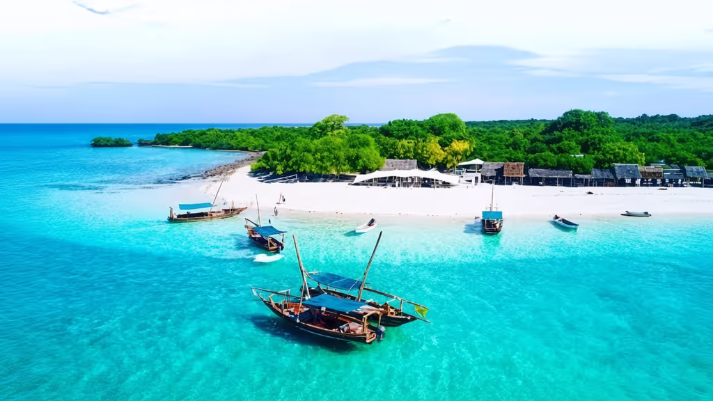 Zanzibar Private Tour - Experience Zanzibar's Blue Safari Adventure Discover the beauty of Zanzibar's coastline on a memorable marine excursion. Enjoy the ocean scenery, explore beautiful sandbanks when conditions permit, and experience the island's remarkable coastal environment.