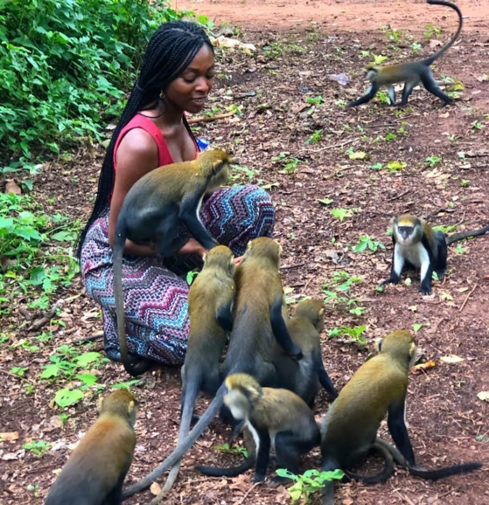 Brong-Ahafo Private Tour - 