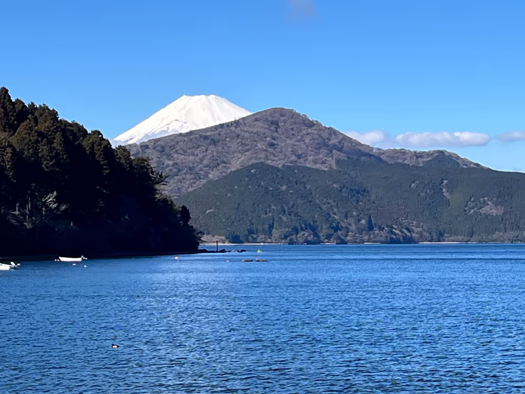 Kanagawa Private Tour - Hakone